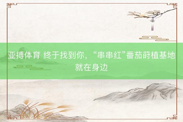 亚搏体育 终于找到你,“串串红”番茄莳植基地就在身边