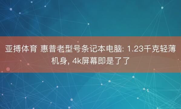 亚搏体育 惠普老型号条记本电脑: 1.23千克轻薄机身, 4k屏幕即是了了