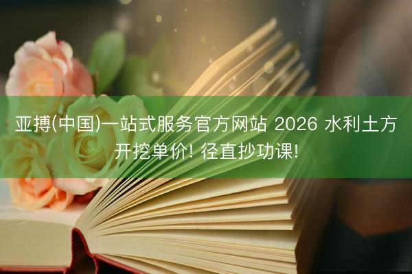 亚搏(中国)一站式服务官方网站 2026 水利土方开挖单价! 径直抄功课!