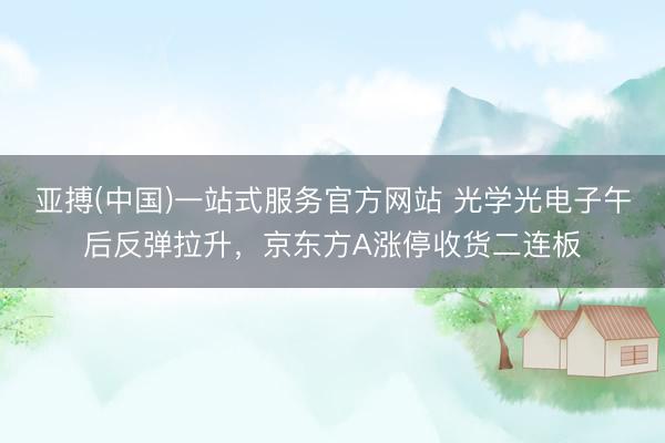 亚搏(中国)一站式服务官方网站 光学光电子午后反弹拉升，京东方A涨停收货二连板