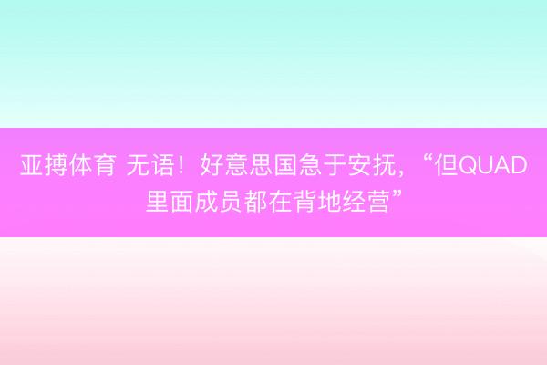 亚搏体育 无语！好意思国急于安抚，“但QUAD里面成员都在背地经营”