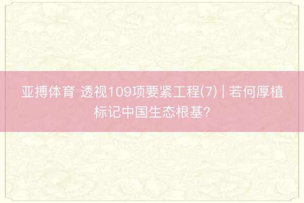 亚搏体育 透视109项要紧工程(7) | 若何厚植标记中国生态根基?
