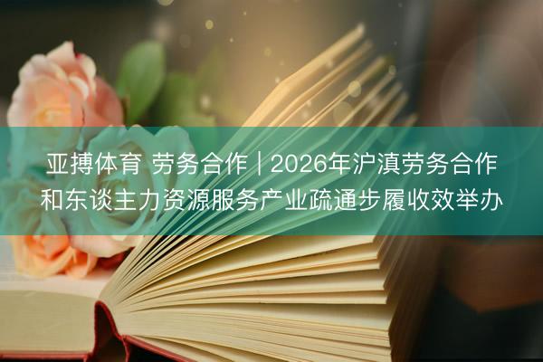亚搏体育 劳务合作 | 2026年沪滇劳务合作和东谈主力资源服务产业疏通步履收效举办