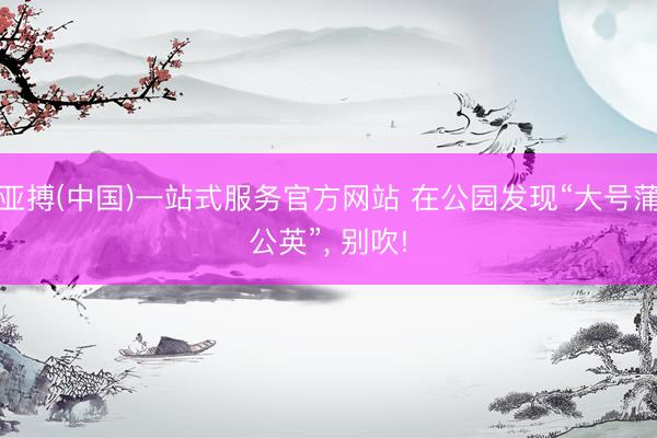 亚搏(中国)一站式服务官方网站 在公园发现“大号蒲公英”， 别吹!