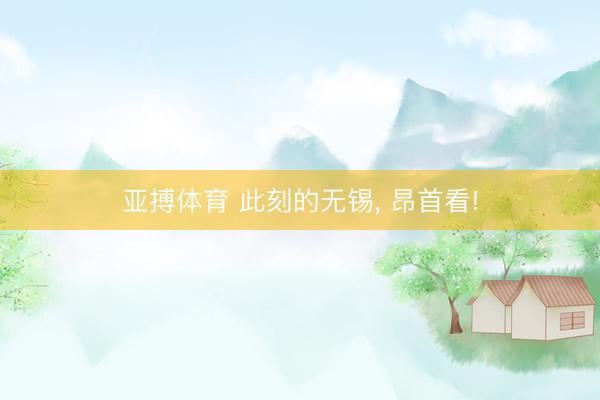 亚搏体育 此刻的无锡， 昂首看!
