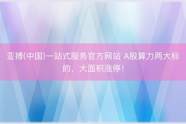 亚搏(中国)一站式服务官方网站 A股算力两大标的,大面积涨停!